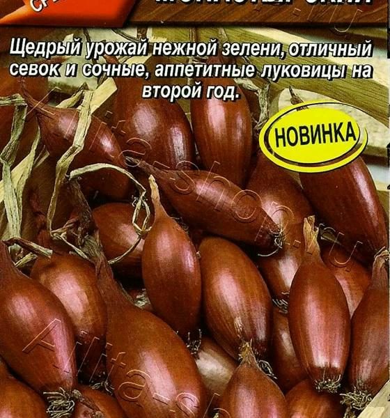 АЭЛИТА ЛУК ШАЛОТ МОНАСТЫРСКИЙ Ц/П 0,3 г