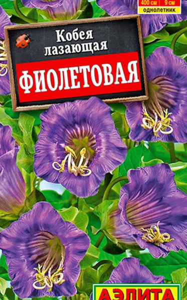 АЭЛИТА КОБЕЯ ФИОЛЕТОВАЯ Ц/П 0,45 г