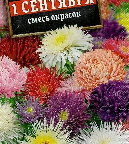 АЭЛИТА АСТРА 1 СЕНТЯБРЯ, СМЕСЬ СОРТОВ Ц/П 0,2 г