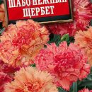 АЭЛИТА ГВОЗДИКА САДОВАЯ ШАБО НЕЖНЫЙ ЩЕРБЕТ Ц/П 0,05 г