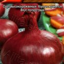 АЭЛИТА ЛУК РЕПЧАТЫЙ ДАНИЛОВСКИЙ 301 Ц/П 0,5 г