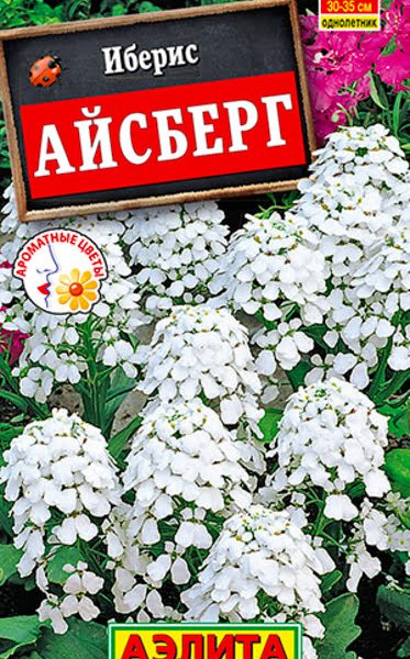АЭЛИТА ИБЕРИС АЙСБЕРГ ОДНОЛЕТНИЙ Ц/П 0,2 г