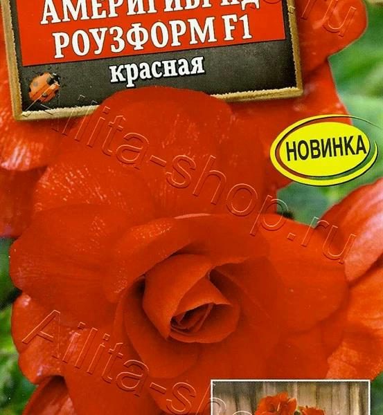 АЭЛИТА БЕГОНИЯ АМЕРИГИБРИД РОУЗФОРМ F1 КРАСНАЯ Ц/П 5 шт