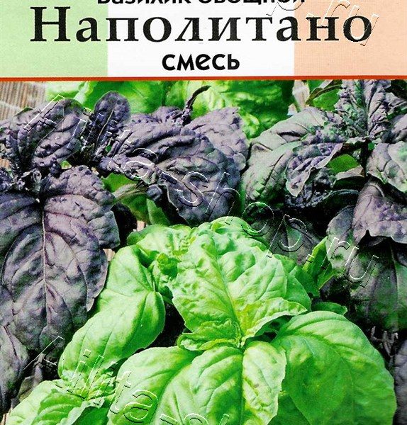 АЭЛИТА БАЗИЛИК ОВОЩНОЙ НАПОЛИТАНО, СМЕСЬ Ц/П 0,2 г