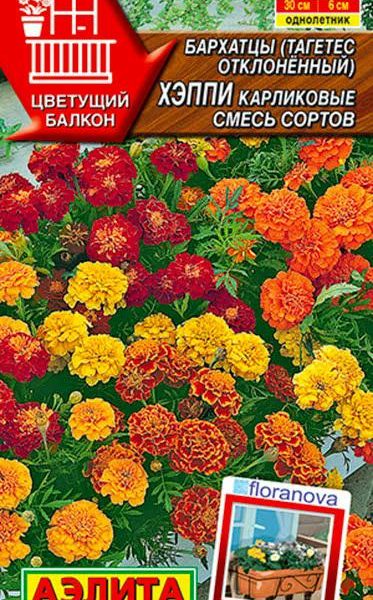 АЭЛИТА БАРХАТЦЫ ХЭППИ КАРЛИКОВЫЕ, СМЕСЬ СОРТОВ Ц/П 7 шт