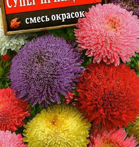 АЭЛИТА АСТРА СУПЕР ПРИНЦЕССА, СМЕСЬ СОРТОВ Ц/П 0,2 г