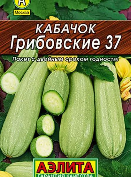 АЭЛИТА КАБАЧОК БЕЛОПЛОДНЫЙ ГРИБОВСКИЕ 37 Лидер 8 шт
