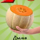 АЭЛИТА ДЫНЯ ПОДАРОК СОЛНЦА Ц/П 1 г