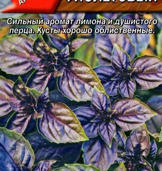 АЭЛИТА БАЗИЛИК ОВОЩНОЙ ФИОЛЕТОВЫЙ Ц/П 0,3 г