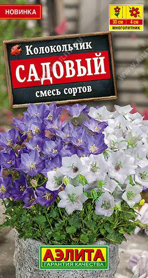 АЭЛИТА КОЛОКОЛЬЧИК САДОВЫЙ, СМЕСЬ СОРТОВ Ц/П 0,1 г