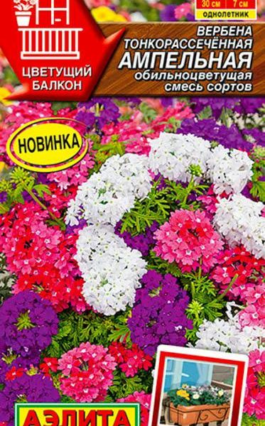 АЭЛИТА ВЕРБЕНА АМПЕЛЬНАЯ ОБИЛЬНОЦВЕТУЩАЯ, СМЕСЬ СОРТОВ Ц/П 30 шт