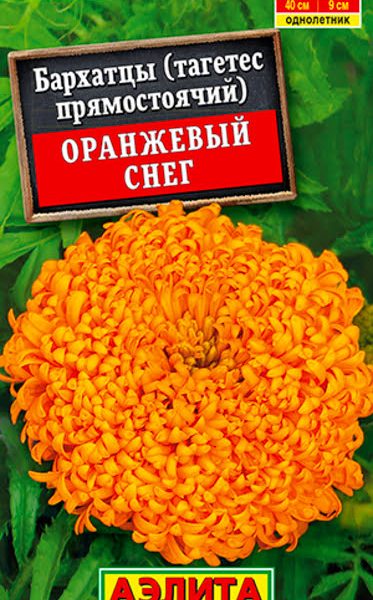 АЭЛИТА БАРХАТЦЫ ОРАНЖЕВЫЙ СНЕГ ПРЯМОСТОЯЧИЕ Ц/П 0,1 г