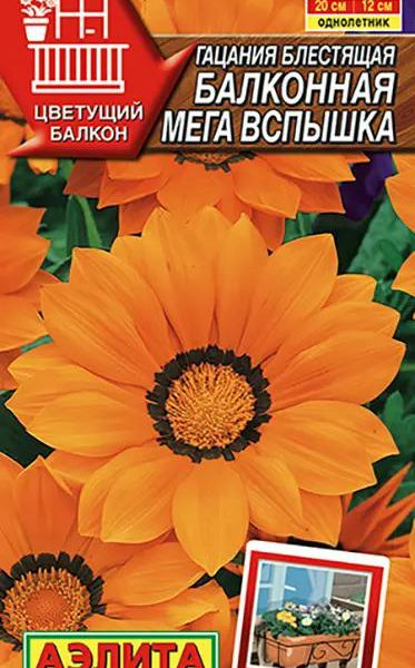АЭЛИТА ГАЦАНИЯ БАЛКОННАЯ МЕГА ВСПЫШКА 4 шт Ц/П