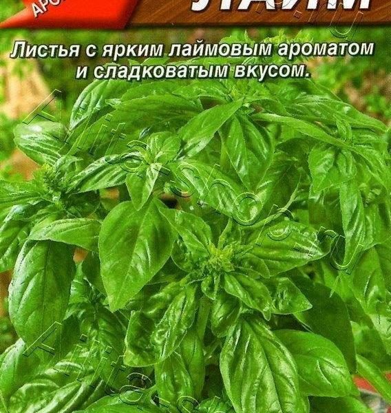 АЭЛИТА БАЗИЛИК ОВОЩНОЙ ЛАЙМ Ц/П 0,3 г
