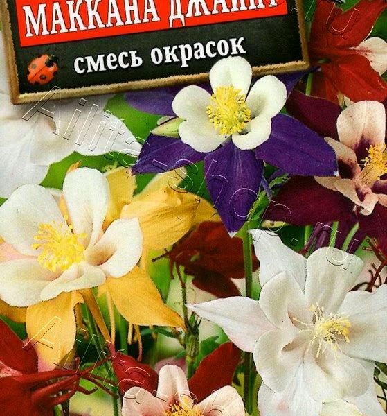 АЭЛИТА АКВИЛЕГИЯ МАККАНА ДЖАЙНТ, СМЕСЬ СОРТОВ Ц/П 0,1 г