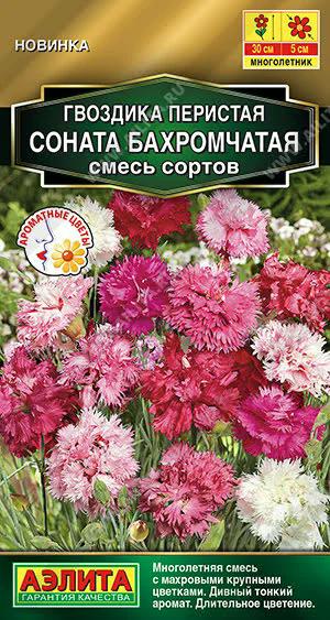 АЭЛИТА ГВОЗДИКА СОНАТА БАХРОМЧАТАЯ, СМЕСЬ СОРТОВ Ц/П 0,1 г