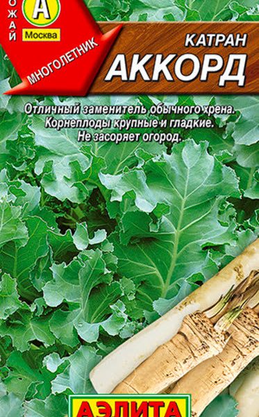 АЭЛИТА КАТРАН (ХРЕН) АККОРД Ц/П 0,3 г