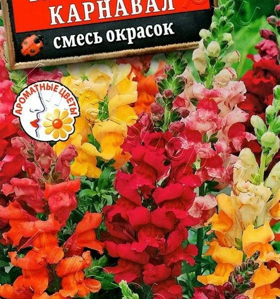 АЭЛИТА ЛЬВИНЫЙ ЗЕВ БРАЗИЛЬСКИЙ КАРНАВАЛ, СМЕСЬ СОРТОВ Ц/П 0,1 г