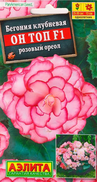 АЭЛИТА БЕГОНИЯ ОН ТОП F1 РОЗОВЫЙ ОРЕОЛ Ц/П 5 шт