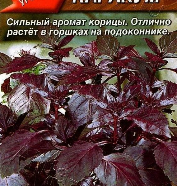 АЭЛИТА БАЗИЛИК ОВОЩНОЙ КАРАКУМ Ц/П 0,3 г