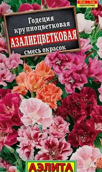 АЭЛИТА ГОДЕЦИЯ АЗАЛИЕЦВЕТКОВАЯ МАХРОВАЯ, СМЕСЬ СОРТОВ Ц/П 0,05 г