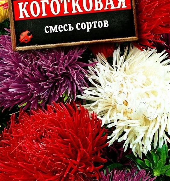 АЭЛИТА АСТРА КОГОТКОВАЯ, СМЕСЬ СОРТОВ Ц/П 0,2 г