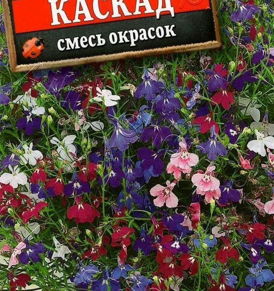 АЭЛИТА ЛОБЕЛИЯ КАСКАД АМПЕЛЬНАЯ, СМЕСЬ СОРТОВ Ц/П 0,1 г