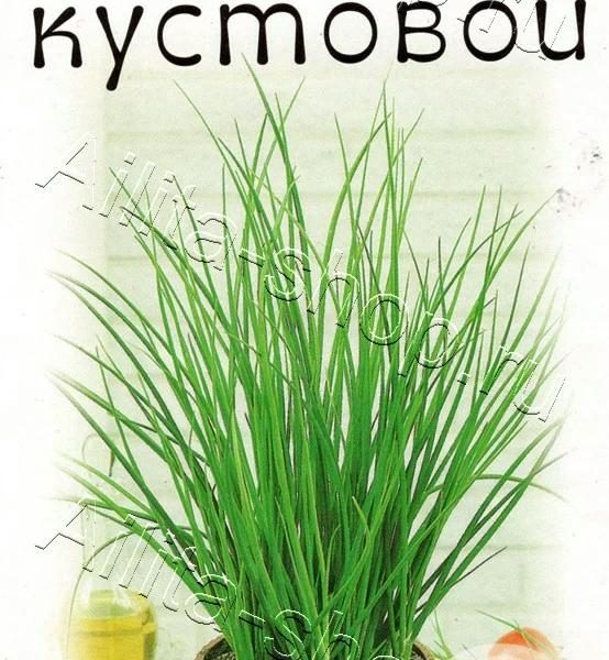 АЭЛИТА ЛУК ШНИТТ ЗИМНИЙ КУСТОВОЙ Ц/П 0,3 г