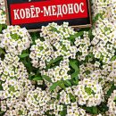 АЭЛИТА АЛИССУМ КОВЕР-МЕДОНОС Ц/П 0,05 г
