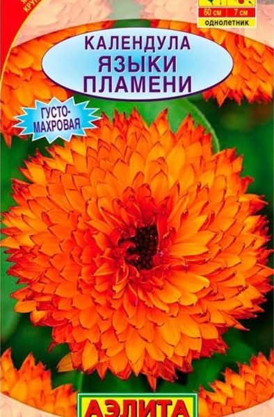 АЭЛИТА КАЛЕНДУЛА ЯЗЫКИ ПЛАМЕНИ Ц/П 0,5 г