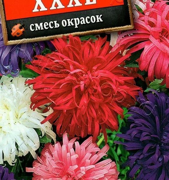 АЭЛИТА АСТРА ХХХL, СМЕСЬ СОРТОВ Ц/П 0,2 г