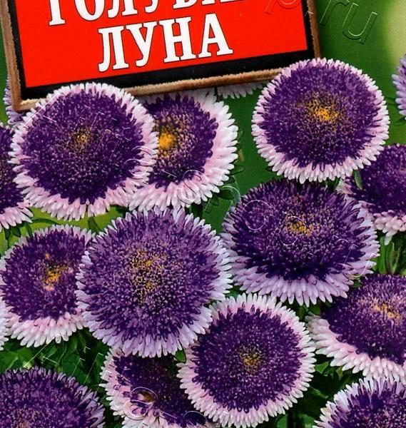 АЭЛИТА АСТРА ГОЛУБАЯ ЛУНА ПОМПОННАЯ Ц/П 0,1 г
