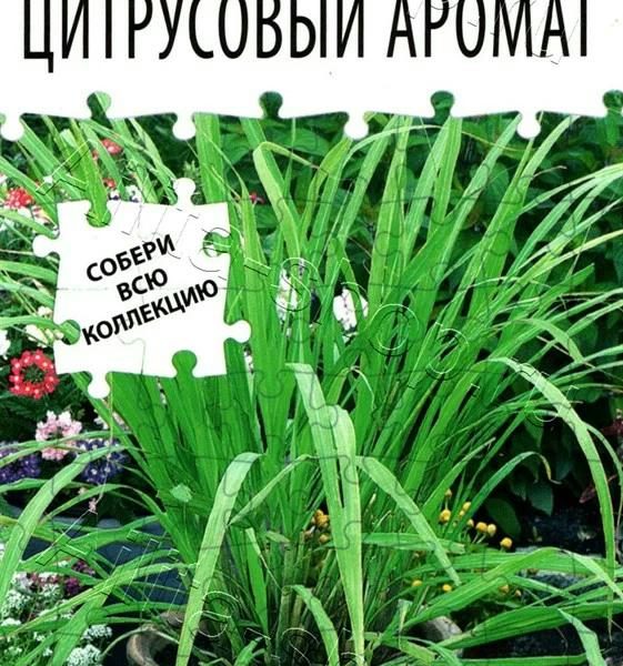 АЭЛИТА ЛЕМОНГРАСС ЦИТРУСОВЫЙ АРОМАТ Ц/П 0,03 г
