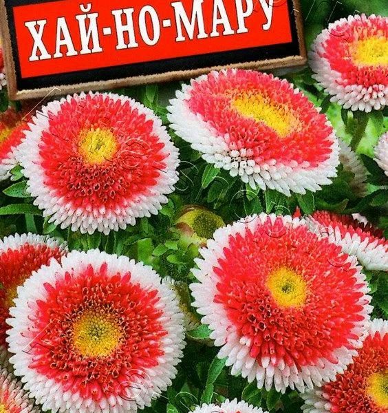 АЭЛИТА АСТРА ХАЙ-НО-МАРУ ПОМПОННАЯ Ц/П 0,1 г