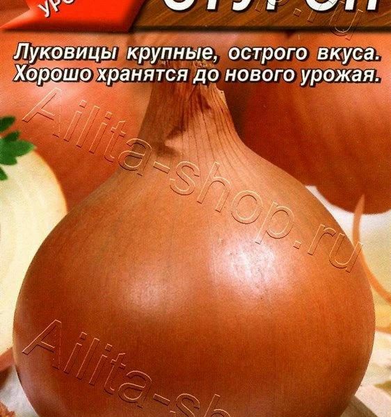 АЭЛИТА ЛУК РЕПЧАТЫЙ СТУРОН Ц/П 0,5 г