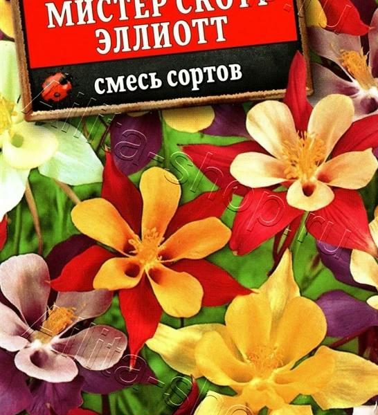 АЭЛИТА АКВИЛЕГИЯ МИСТЕР СКОТТ ЭЛЛИОТТ,СМЕСЬ СОРТОВ Ц/П 0,1 г