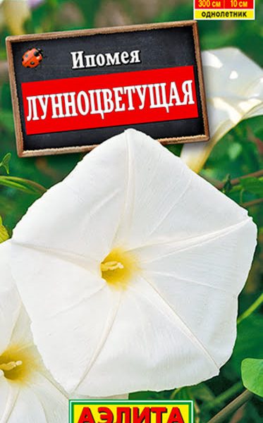 АЭЛИТА ИПОМЕЯ ЛУННОЦВЕТУЩАЯ Ц/П 1,2 г