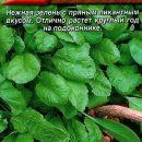 АЭЛИТА КРЕСС-САЛАТ ШИРОКОЛИСТНЫЙ Ц/П 1 г