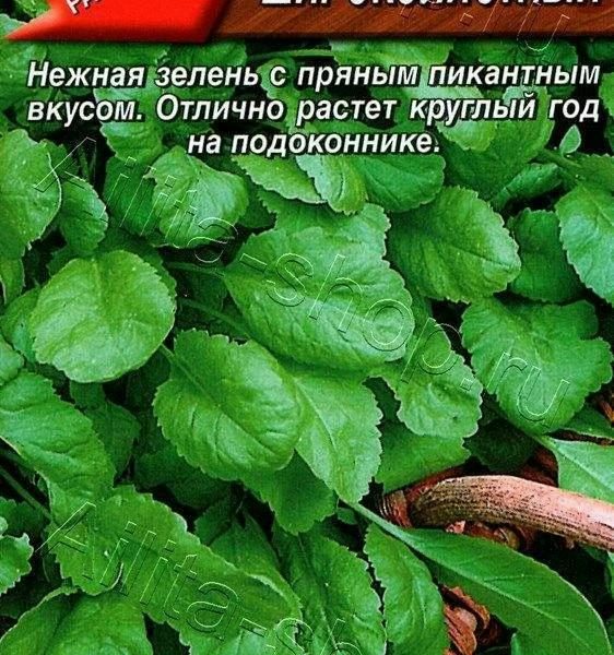 АЭЛИТА КРЕСС-САЛАТ ШИРОКОЛИСТНЫЙ Ц/П 1 г
