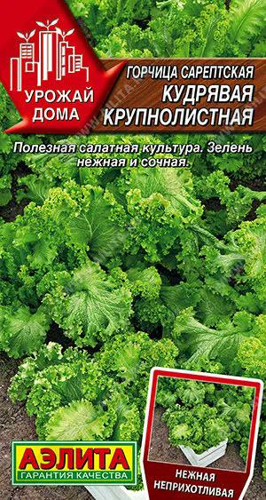 АЭЛИТА ГОРЧИЦА САРЕПТСКАЯ КУДРЯВАЯ КРУПНОЛИСТНАЯ Ц/П 0,5 г