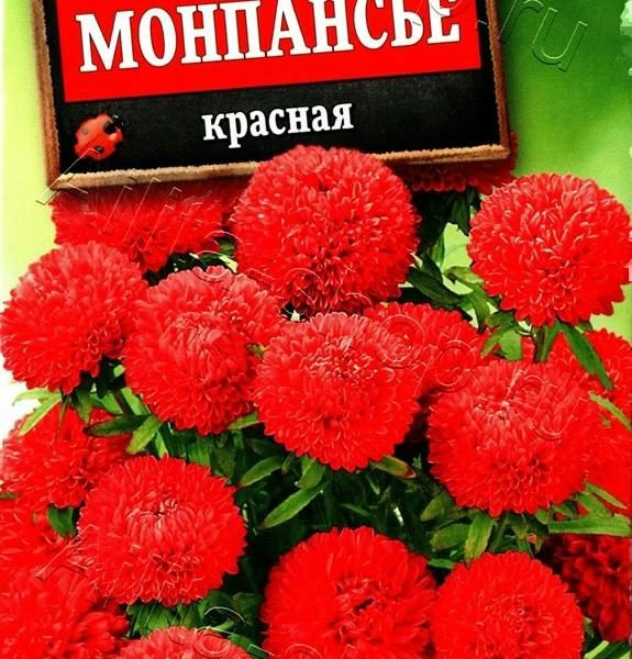 АЭЛИТА АСТРА МОНПАНСЬЕ КРАСНАЯ Ц/П 0,2 г