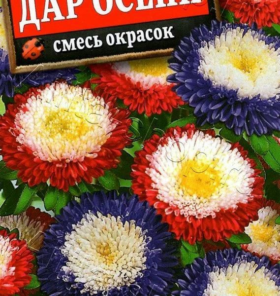 АЭЛИТА АСТРА ДАР ОСЕНИ, СМЕСЬ СОРТОВ Ц/П 0,2 г