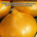 АЭЛИТА ЛУК РЕПЧАТЫЙ ШТУТТГАРТСКИЙ ВЕЛИКАН Ц/П 1 г
