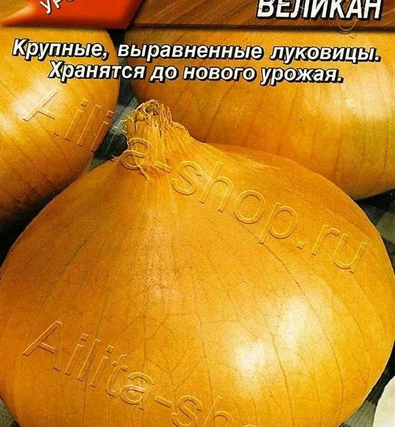 АЭЛИТА ЛУК РЕПЧАТЫЙ ШТУТТГАРТСКИЙ ВЕЛИКАН Ц/П 1 г