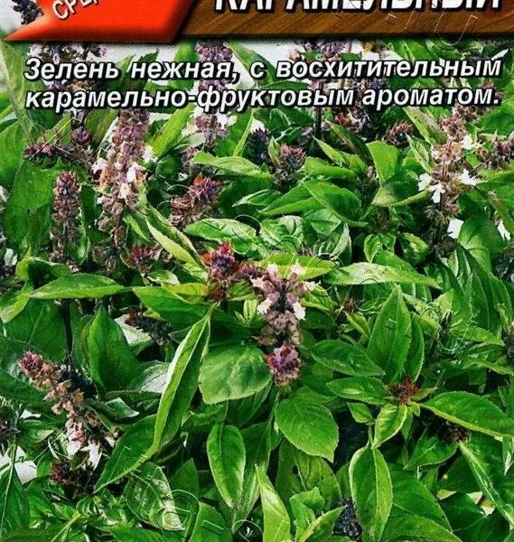АЭЛИТА БАЗИЛИК ОВОЩНОЙ КАРАМЕЛЬНЫЙ Ц/П 0,3 г