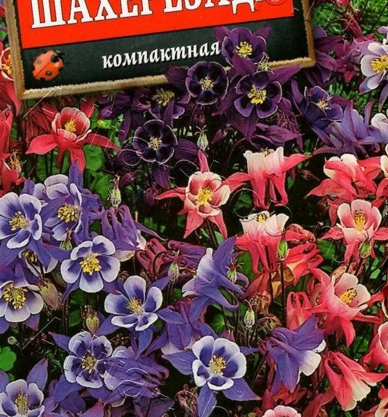 АЭЛИТА АКВИЛЕГИЯ ШАХЕРЕЗАДА, СМЕСЬ СОРТОВ Ц/П 0,1 г
