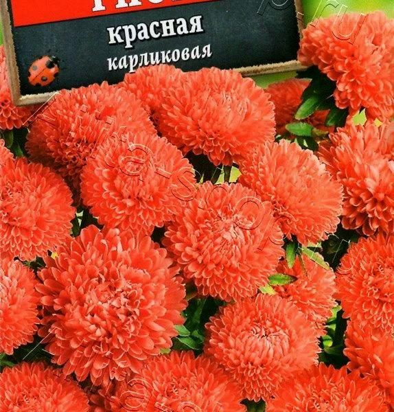 АЭЛИТА АСТРА ГНОМ КРАСНАЯ Ц/П 0,2 г