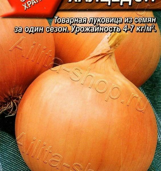 АЭЛИТА ЛУК РЕПЧАТЫЙ ХАЛЦЕДОН Ц/П 1 г
