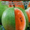 АЭЛИТА АРБУЗ МРАМОРНЫЙ Ц/П 1 г