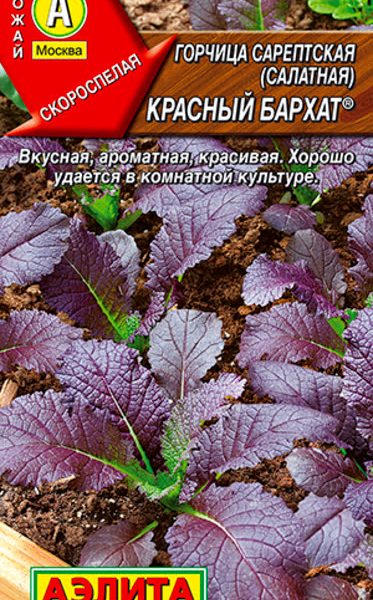 АЭЛИТА ГОРЧИЦА САЛАТНАЯ КРАСНЫЙ БАРХАТ Ц/П 0,5 г